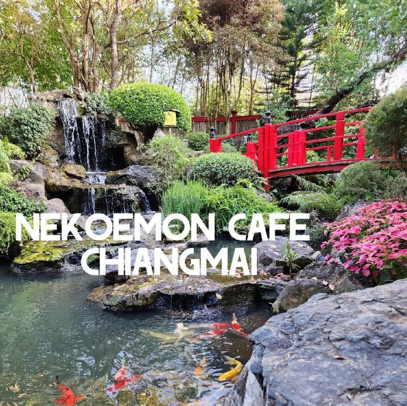 TravelRouteSetter | คาเฟ่สไตล์ญี่ปุ่น จนคิดว่าอยู่ญี่ปุ่นหรือเปล่า??