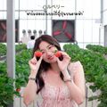 Haruberry - Rooftop Strawberry