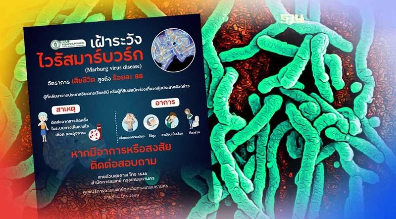 กทม.เฝ้าระวัง”ไวรัสมาร์บวร์ก- Marburg Virus Disease”