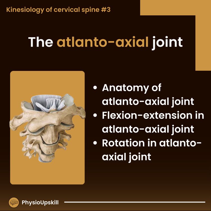 [Physioupskill] ## Episode27: Kinesiology of cervical spine#3 The ...