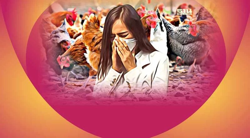 นักไวรัสวิทยา เตือนไทยเฝ้าระวัง ”ไข้หวัดนก H5N1″