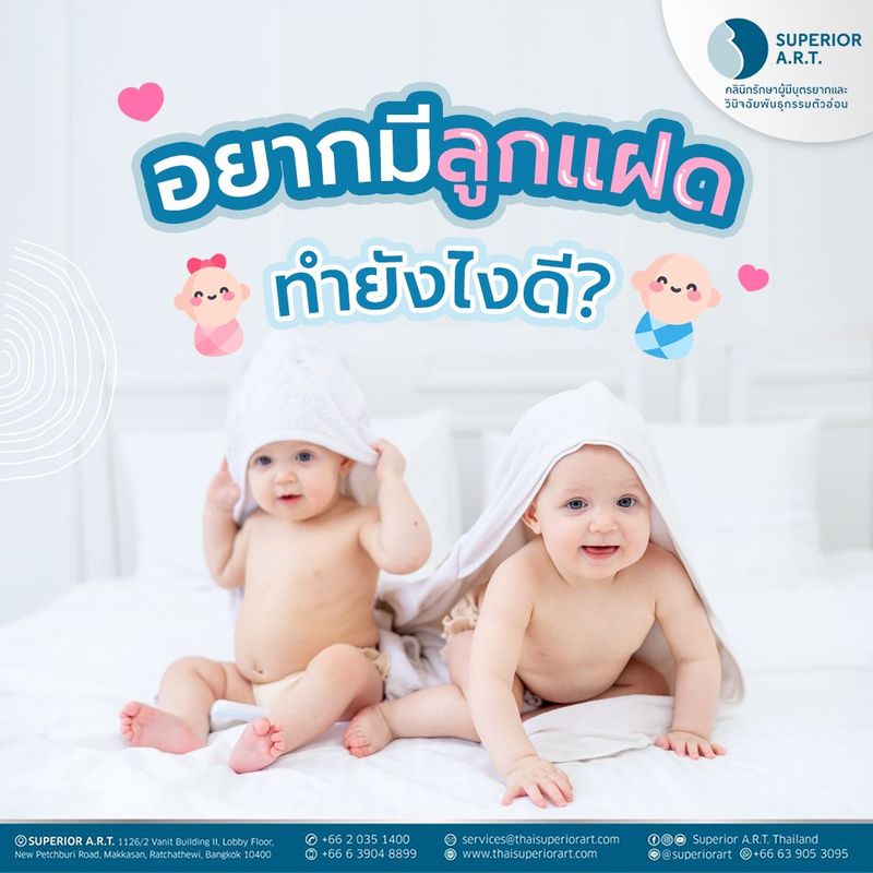 อยากมีลูกแฝดต้องทำยังไงบ้าง? | ซูพีเรีย เอ.อาร์.ที.