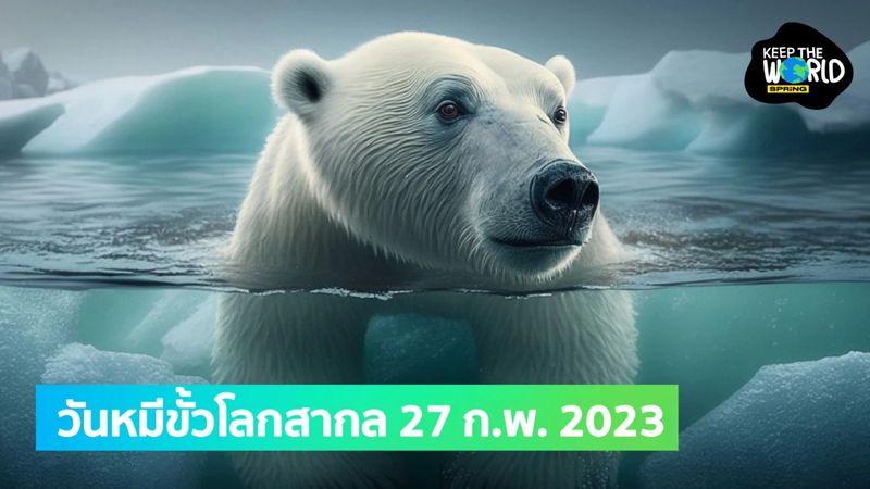 วันหมีขั้วโลกสากล 27 ก.พ. เจ้าแห่งความเย็นกำลังหายไปจากโลก