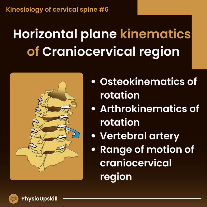 [Physioupskill] Episode30 Kinesiology of cervical spine6