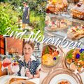 2nd November Cafe&O’ganic farm
