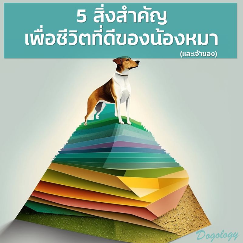 Dogology เลี้ยงหมาให้ชีวิตดีด้วยตัวเอง] ชีวิตที่ดีของหมาต้องการอะไรบ้าง ?  เราเข้าใจความต้องการของน้องหมาที่รักของเราดีแค่ไหน ?  ทุกคนทราบดีว่าในการมีเขาแล้วหลัก ๆ ที่ต้องทำคือการมีที่อยู่ น้ำ อาหาร  และความรักให้ แต่เคยสงสัยไหมครับว่าเท่านี้เ