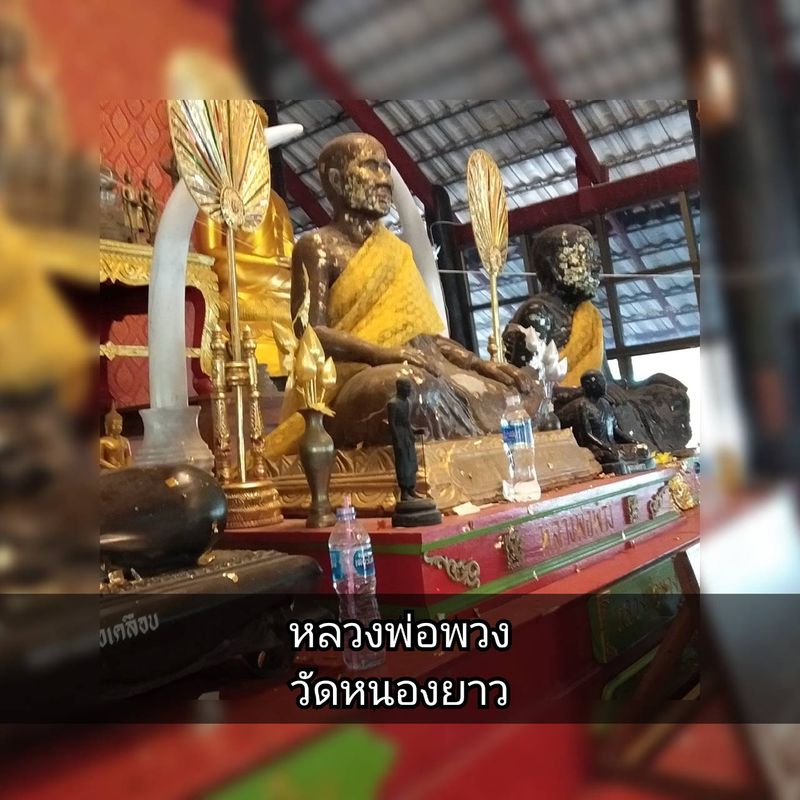 My Image 5