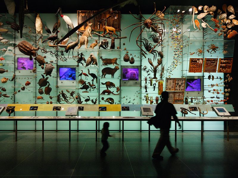 [Science Snippets: Bite-sized stories ] One World, Many Species ...