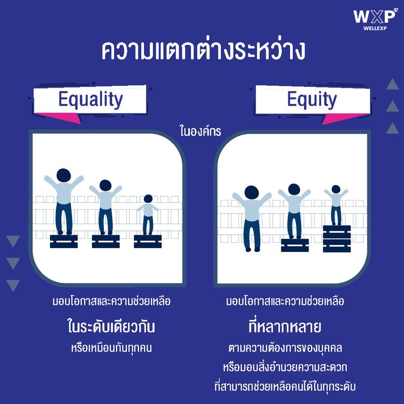 WellExp Equality VS Equity 2 Equality wellexp-equality-vs-equity-2-equality