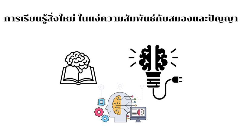A Greater Understanding Of The World] การเรียนรู้สิ่งใหม่ ในแง่ความสัมพันธ์ กับสมองและปัญญา การเรียนรู้สิ่งใหม่ๆ เป็นกระบวนการที่ซับซ้อนที่เกี่ยวข้องกับส่วนต่างๆ  ของสมอง และอาจมีผลกระทบอย่างมากต่อความฉลาด เมื่อเราเรียนรู้สิ่งใหม่ ๆ  เซลล์สม