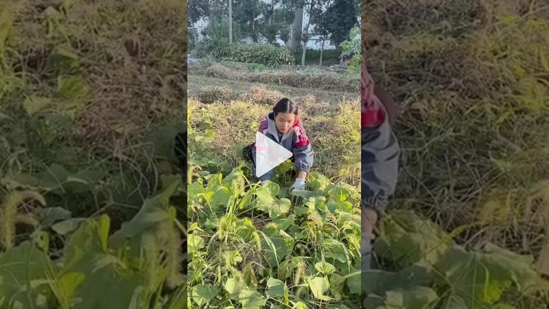 jeenthainews.com on TikTok