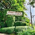 ข้าวเม่า-ข้าวฟ่าง ป่าในจินตนาการ@แม่สอด,ตาก Khaomao-Khaofang Maesot သဘာဝစားသောက်ဆိုင်