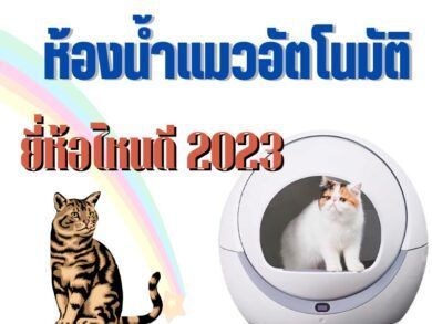 ห้องน้ำแมวอัตโนมัติ ยี่ห้อไหนดี ทำความสะอาดง่าย ไม่มีกลิ่นอับ
