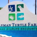 Cayman Turtle Centre