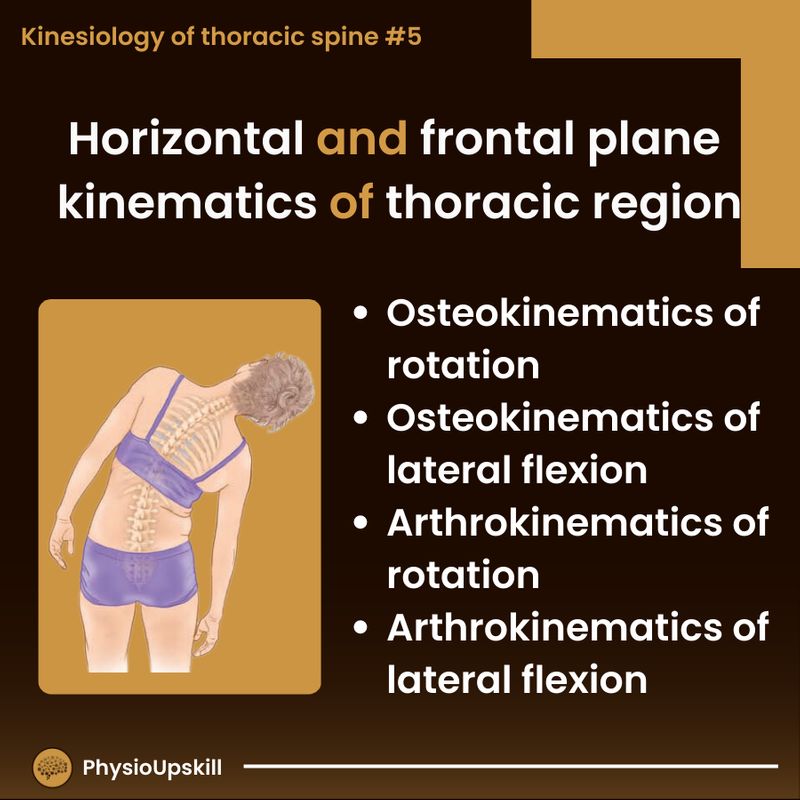 [Physioupskill] ## Episode40: Kinesiology of thoracic spine#5 ...