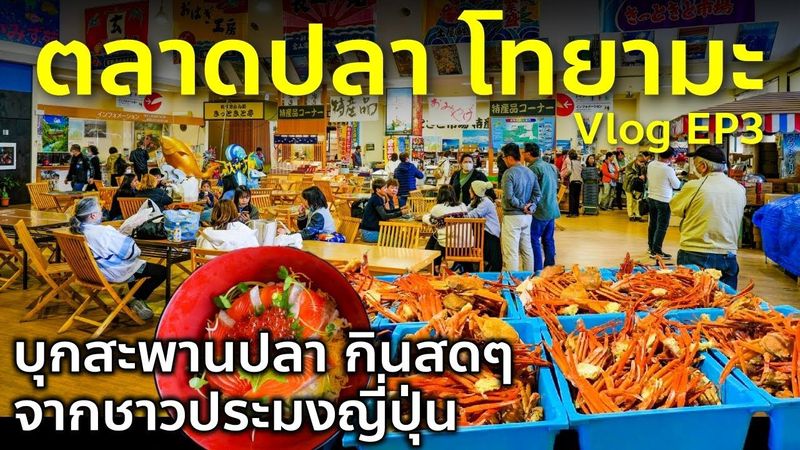 Vlog ขับรถจากไซตามะ โทยามะ 800 กม บุกตลาดปลา ชิมของสด ถูก อร่อย ชมซากุระ เที่ยวญี่ปุ่น Toyama EP3