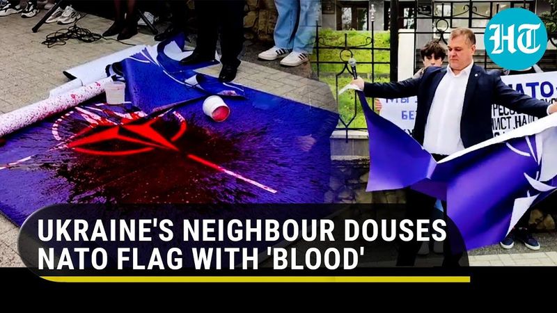 NATO anger grips Ukraine’s neighbour; Moldovan MP throws ‘blood’ on U.S.-led bloc’s flag | Watch
