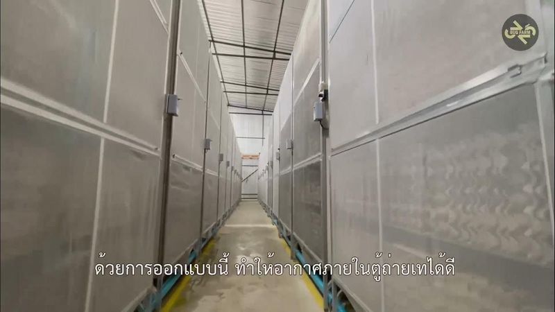 32 BUG FARM (Smart Farm)