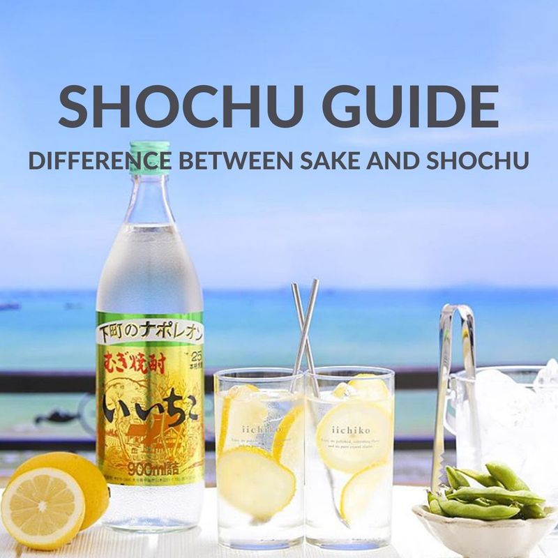 Difference Between Sake and Shochu - Makoto-Ya Singapore Blog