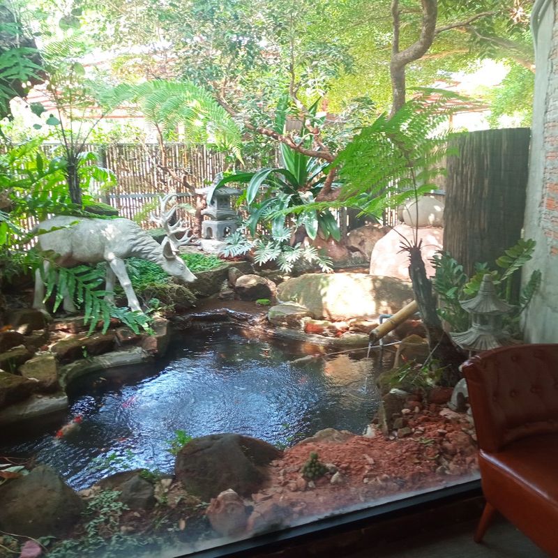 My Image 35