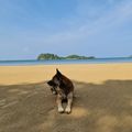 The Nest Private Beach Resort Chumphon