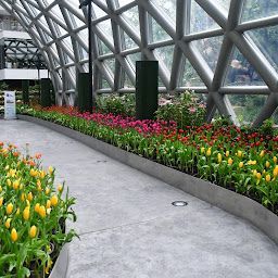 Flora Exhibition Hall · เลขที่ 8/2 ถนน, ซอย โรงปุ๋ย อำเภอเมืองระยอง ระยอง 21150