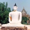เทศบาลนครสุราษฎร์ธานี
