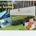 คณะพยาบาลศาสตร์ มหาวิทยาลัยมหิดล ศาลายา
