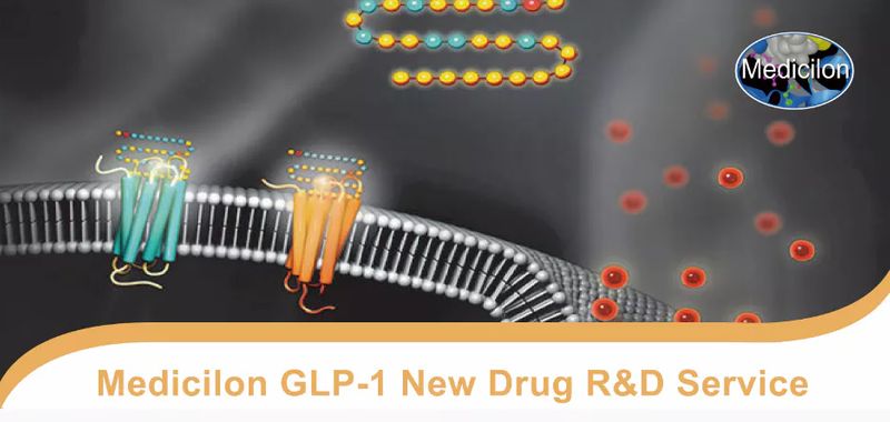[Xiao Mei] Medicilon's GLP-1 New Drug R&D Service