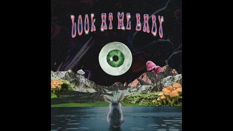 ANATOMY RABBIT - Look at Me Baby (Official Audio)