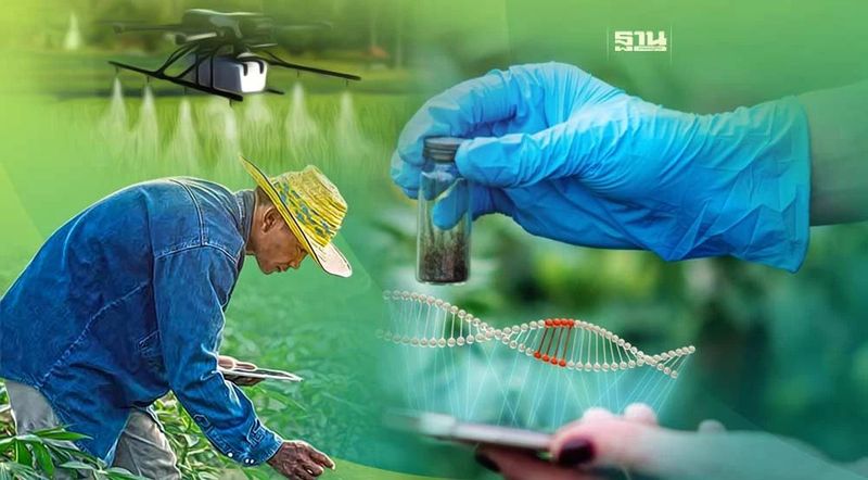 ส่อง 6 เทรนด์นวัตกรรมเกษตรที่น่าสนใจมีอะไรบ้าง ทำยังไง เช็คที่นี่