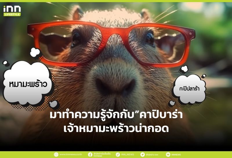 มาทำความรู้จักกับ”คาปิบาร่า”เจ้าหมามะพร้าวน่ากอด