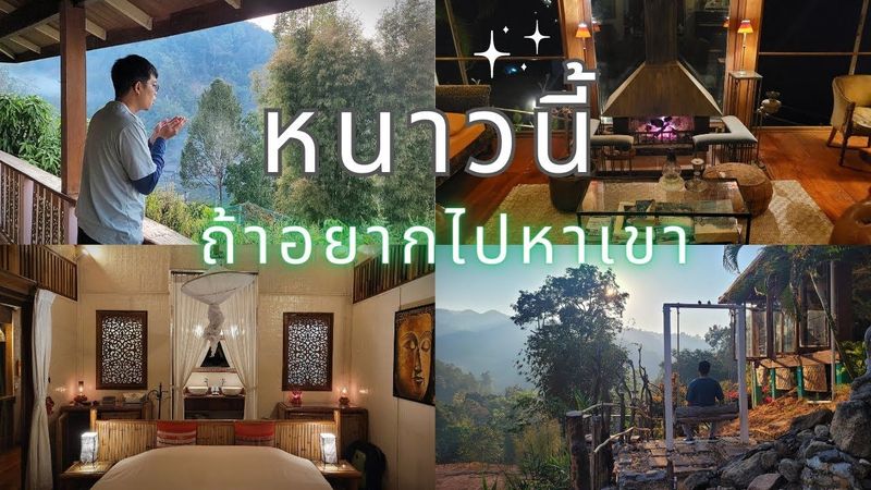 หนีเที่ยว ไปนั่งพิงไฟ นอนบ้านไม้เรือนกระจก #blisshomestay