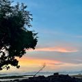 เกาะมะพร้าว