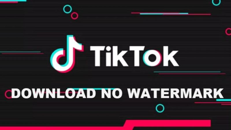 SnapTik | Tiktok Downloader | Download Video tiktok Without Watermark