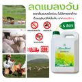 บริษัท เซฟเอ็นไวร่อน จำกัด