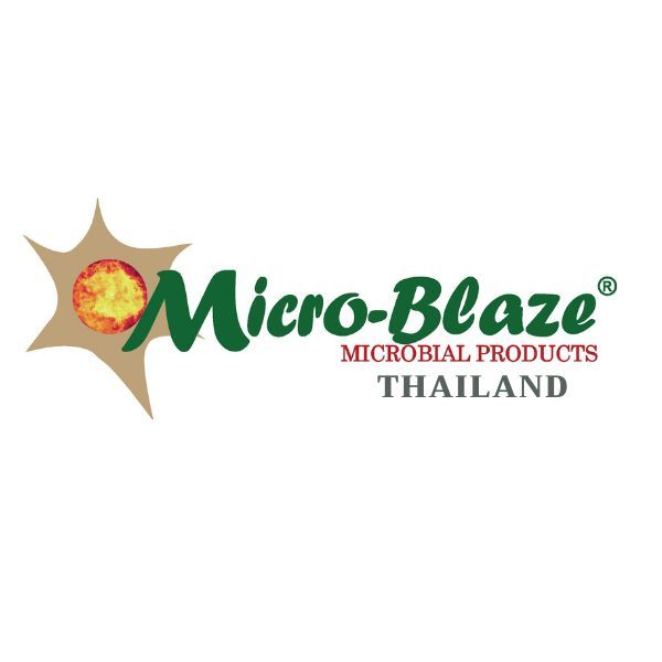 นี่คือร้านค้าของฉัน เข้ามาชมกันเลย! คลิกที่นี่: