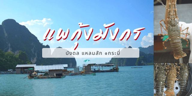 ชวนไป ”แพกุ้งมังกร” บังดล แหลมสัก @กระบี่