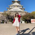 Osaka castle