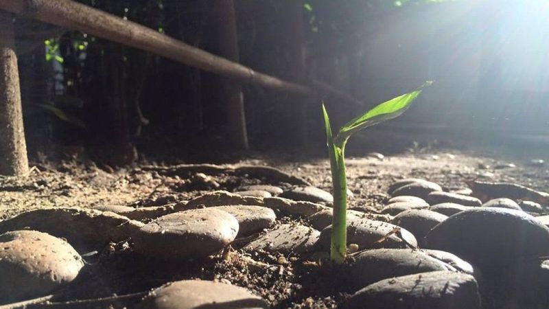 ตั้งสมาธิ 1-3 นาที จิตใจสงบโชคลาภ