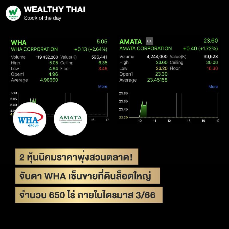 [Wealthy Thai] 2 หุ้นนิคมราคาพุ่งสวนตลาด! จับตา WHA เซ็นขายที่ดินล็อต ...