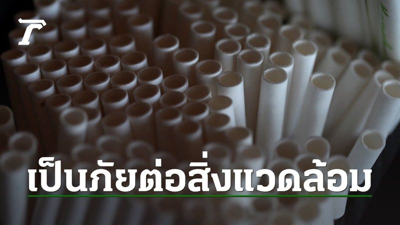เอาไงล่ะทีนี้ นักวิทย์เผยหลอดกระดาษ เป็นพิษต่อสิ่งแวดล้อมพอๆ กับหลอดพลาสติก