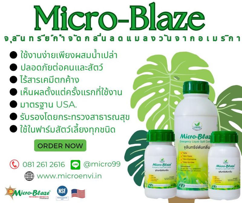 [Micro-Blaze จุลินทรีย์ดับกลิ่นเหม็นและกำจัดแมลงวัน] 📣📣📣 #สินค้าขายดี ...