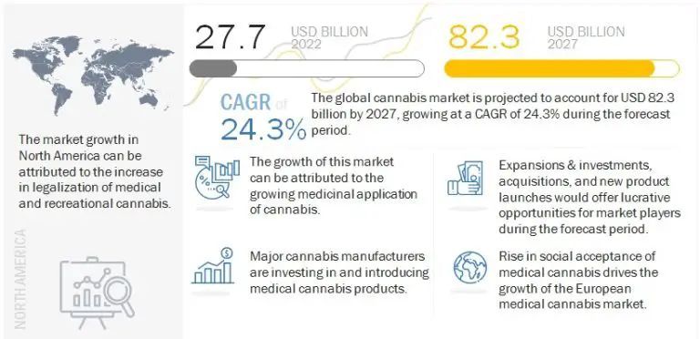 Explosive Growth: Unveiling the Booming Cannabis Market - WriteUpCafe.com