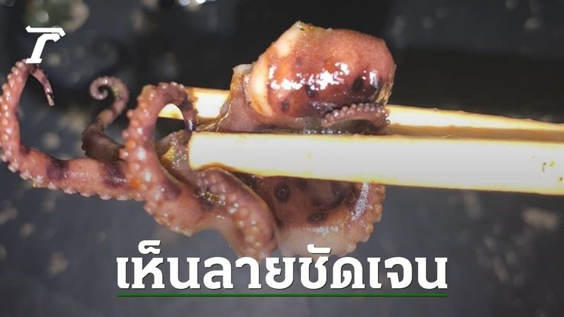 ผวาเจอ ”หมึกสายวงน้ำเงิน” ในร้านปิ้งย่าง โซเชียลช่วยยืนยัน ”บลูริง” ของแท้