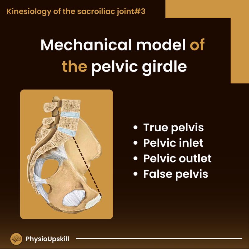 [Physioupskill] ## Episode58: Kinesiology of Sacroiliac joint#3 ...