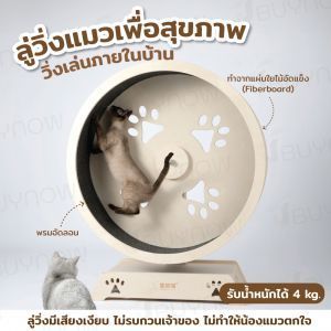 Cat exercise wheel ลู่วิ่งแมว ลู่วิ่งออกกำลังแมว รับน้ำหนักได้ 4 kg 29x45x75 cm ST221011-42