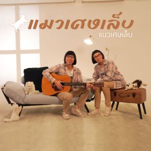 แมวเศษเล็บ - แมวเศษเล็บ