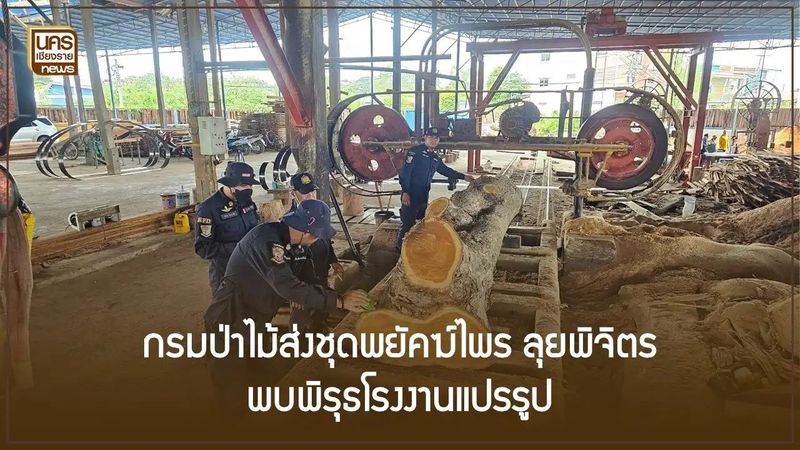 กรมป่าไม้ส่งชุดพยัคฆ์ไพร ลุยพิจิตร พบพิรุธโรงงานแปรรูป