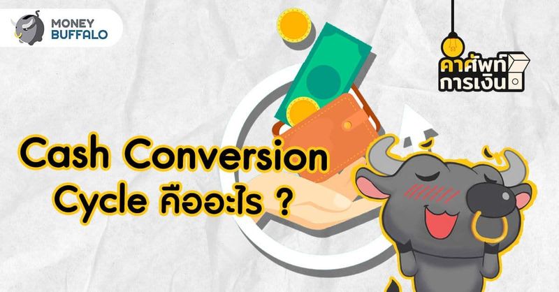 Cash Conversion Cycle คืออะไร ? - Money Buffalo